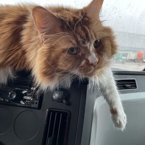 Meet your Posher, Christopher